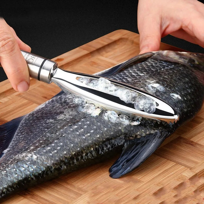 Écailleur à Poisson Inox