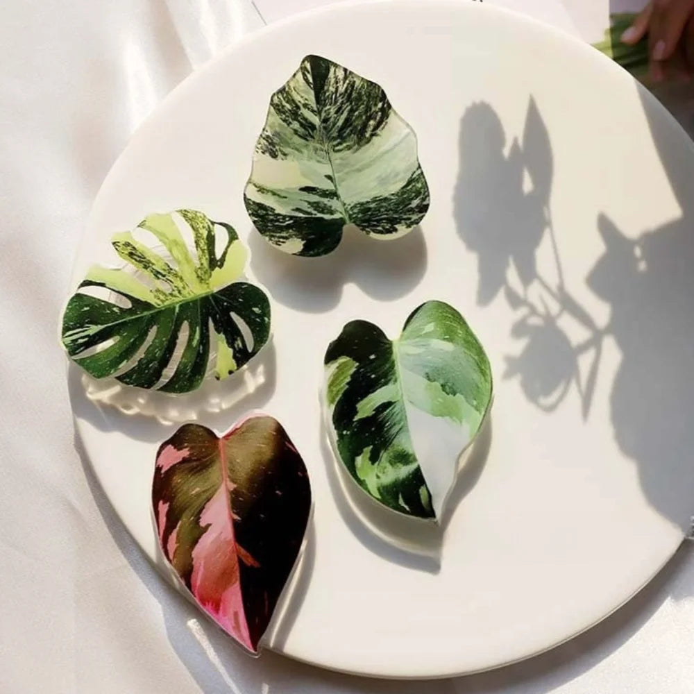 Pop Socket Ape 🌿